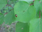 IMG_0825.jpg