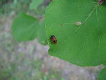 IMG_0830.jpg