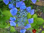 101_0157.JPG