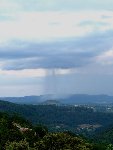 P1000290.jpg
