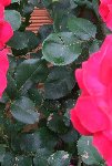 DSCF3389.jpg