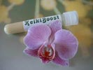 Tube_KeikiBoost_133_100.jpg