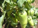 DSCN3022.JPG