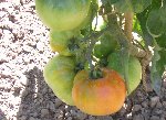 DSCN3027.JPG