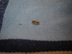DSC01982.jpg