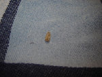 DSC01983.jpg
