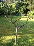 HPIM0470.JPG