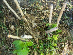 DSCN3444.JPG