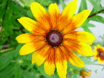 DSCN4237.JPG
