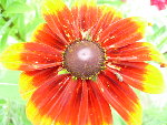 DSCN4238.JPG