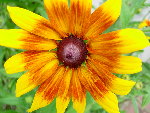 DSCN4239.JPG