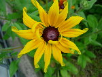 DSCN4241.JPG