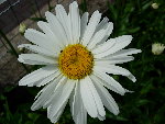 DSCN4230.JPG
