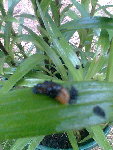 Photo021.jpg
