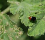 DSC_0739.JPG