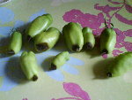 DSC00018.JPG
