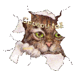 coucou.gif