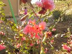 Photo0582.jpg