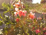 Photo0581.jpg