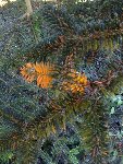 IMG_0641_p.jpg