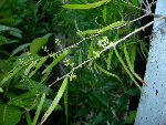 dscn6177.jpg