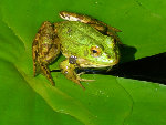 dscn5906.jpg