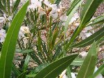 DSC00841.JPG