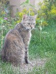 cachou.jpg