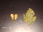 Photo 019.jpg