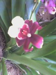 Photo 0137.jpg