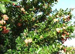 DSCF2269.JPG