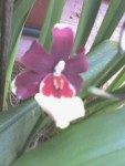 Photo 0138.jpg