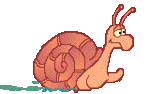 escargot012.gif