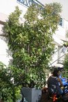 IMG_9668.jpg