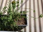 DSC06543.JPG