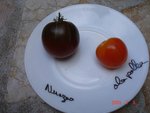 nuagus et Ola polka 070709 modif.JPG