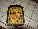 DSC01208.JPG