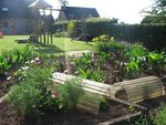 canna_010709_c.jpg