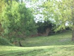 mon jardin 015.jpg