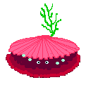coquillage.gif