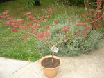 DSC01999.JPG