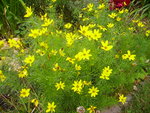 IMGP0981.JPG