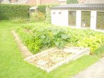 Mon jardin