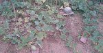 P140709_19.42.jpg