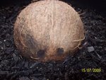 100_1073.jpg