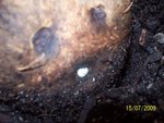 100_1074.jpg