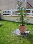 IMG_2655 (Large).jpg
