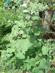 Photo.02.jpg