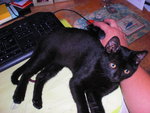 chat 002.JPG