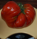 Pesee tomates_redimensionner.jpg